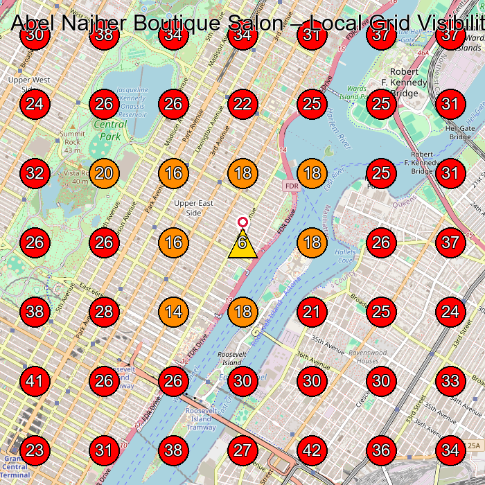 Abel Najher Boutique Salon GeoGrid visibility map for Hair Salon in New York